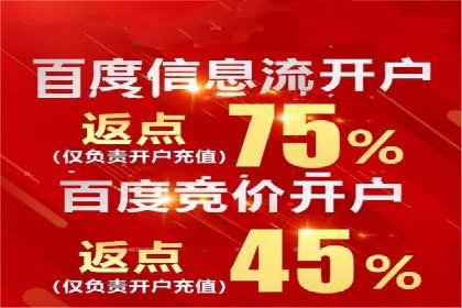 竞价推广实战：案例分析行业领军企业的成功之道